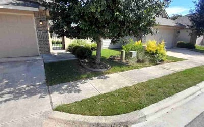 Photo of David R.'s yard after getting lawn care in San Marcos, TX