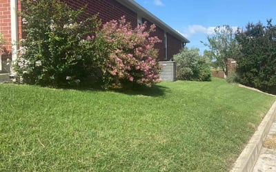 Photo of Laura M.'s yard after getting lawn care in Washington, PA