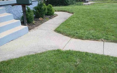 Photo of Derrick R.'s yard after getting lawn care in Pell City, AL