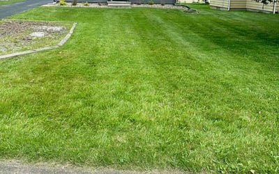 Photo of Jeanette C.'s yard after getting lawn care in Pooler, GA