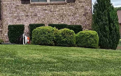 Photo of Ryan E.'s yard after getting lawn care in Greenbrier, TN