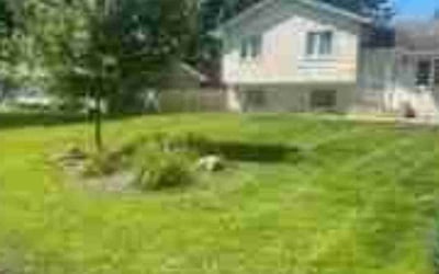 Photo of Jay W.'s yard after getting lawn care in North Branch, MN