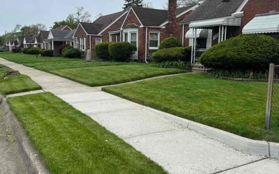 Photo of Daryl S.'s yard after getting lawn care in Hamtramck, MI
