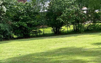 Photo of Tarai D.'s yard after getting lawn care in Macon, GA