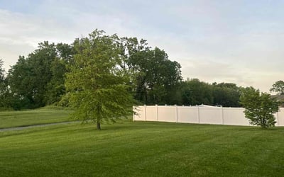 Photo of Miguel S.'s yard after getting lawn care in Denver, PA