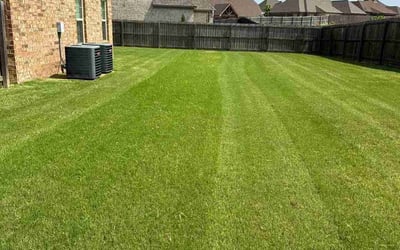 Photo of Ben M.'s yard after getting lawn care in Covington, TN