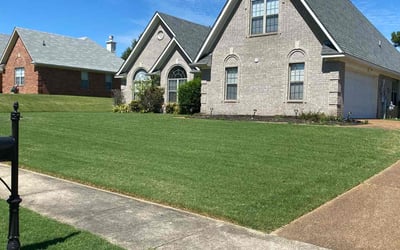 Photo of Randy M.'s yard after getting lawn care in Georgetown, KY