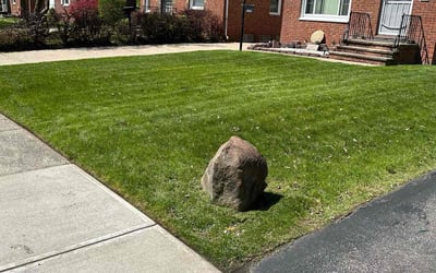 Photo of Charlene W.'s yard after getting lawn care in Wellington, OH