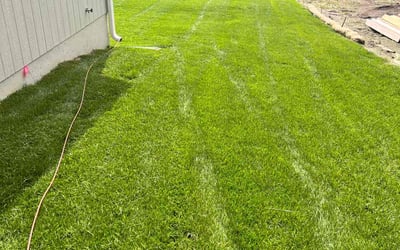 Photo of Lee C.'s yard after getting lawn care in Excelsior Springs, MO