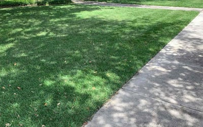 Photo of Michael S.'s yard after getting lawn care in Natalia, TX