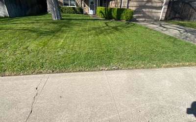 Photo of Laura B.'s yard after getting lawn care in Carmichael, CA