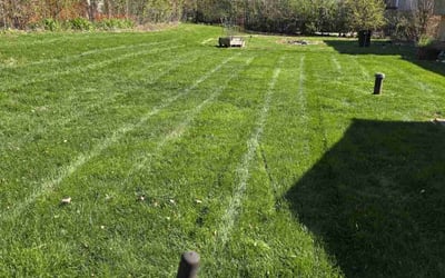 Photo of Jim A.'s yard after getting lawn care in West Chicago, IL