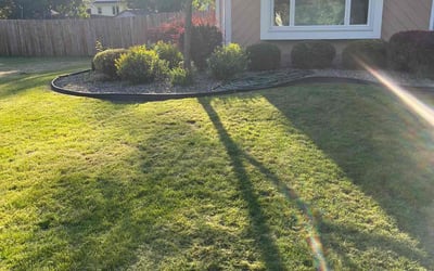 Photo of Jahshanti H.'s yard after getting lawn care in Rochester, NY