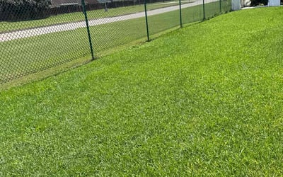 Photo of Elizabeth F.'s yard after getting lawn care in Gretna, LA