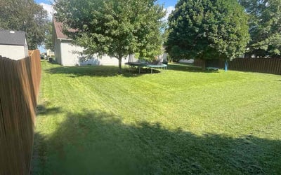 Photo of Erin B.'s yard after getting lawn care in Gates, NY