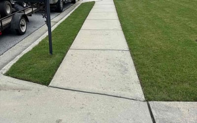 Photo of Kelly D.'s yard after getting lawn care in Easley, SC