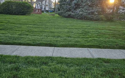 Photo of Susan S.'s yard after getting lawn care in Richwood, OH
