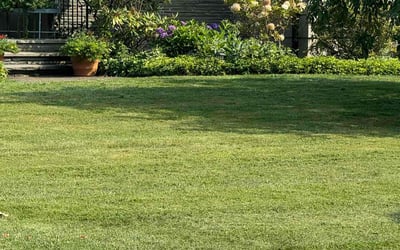Photo of Dylan M.'s yard after getting lawn care in Brighton, NY