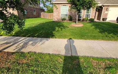 Photo of Hala H.'s yard after getting lawn care in San Juan Capistrano, CA