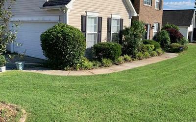 Photo of Josh B.'s yard after getting lawn care in Simpsonville, SC