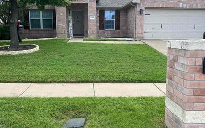 Photo of Maurice B.'s yard after getting lawn care in South El Monte, CA