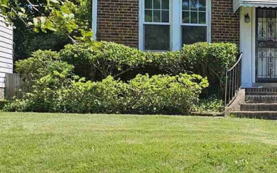 Photo of Rodney R.'s yard after getting lawn care in Aylett, VA