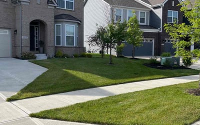 Photo of Ashley H.'s yard after getting lawn care in Muncie, IN