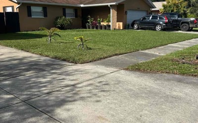 Photo of Christine R.'s yard after getting lawn care in Hiram, GA