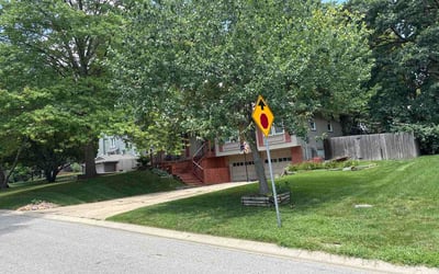 Photo of Eddy M.'s yard after getting lawn care in Fort Lee, NJ