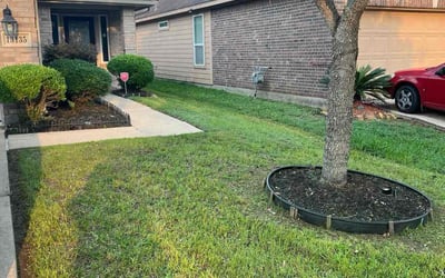 Photo of Stan J.'s yard after getting lawn care in Fernandina Beach, FL