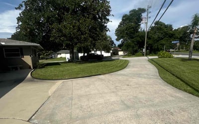 Photo of Cindy A.'s yard after getting lawn care in Largo, FL