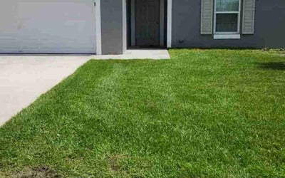 Photo of Francis B.'s yard after getting lawn care in Morris Plains, NJ