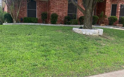 Photo of Craig P.'s yard after getting lawn care in Lewisville, TX