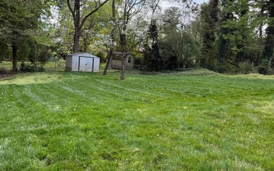 Photo of Carrol T.'s yard after getting lawn care in Tucker, GA