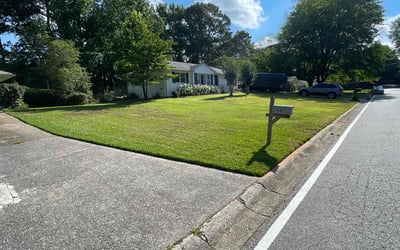 Photo of Daniel R.'s yard after getting lawn care in Smyrna, GA
