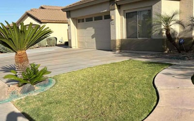 Photo of Joey M.'s yard after getting lawn care in Chandler, AZ