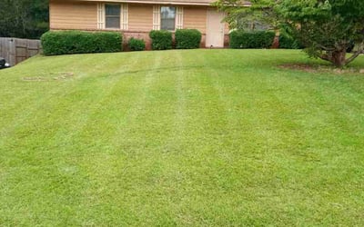 Photo of Myra B.'s yard after getting lawn care in Rex, GA