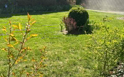 Photo of Susan D.'s yard after getting lawn care in Huntington, NY