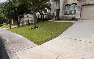 Photo of Teresa M.'s yard after getting lawn care in Helotes, TX
