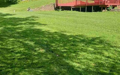 Photo of Greg R.'s yard after getting lawn care in Huntington, WV