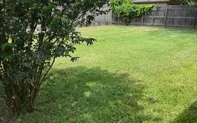 Photo of Heather D.'s yard after getting lawn care in Johnson City, TN