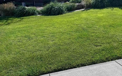 Photo of Habib R.'s yard after getting lawn care in Herriman, UT