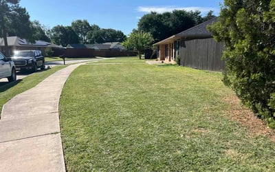 Photo of Susie B.'s yard after getting lawn care in Ceres, CA