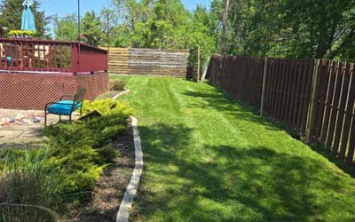 Photo of David W.'s yard after getting lawn care in Lawson, MO