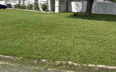 Photo of Dan K.'s yard after getting lawn care in Mentor, OH