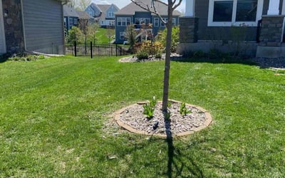 Photo of Bobby R.'s yard after getting lawn care in East Bethel, MN