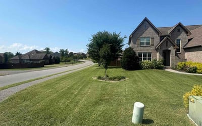 Photo of Catherine C.'s yard after getting lawn care in Spring Hill, TN