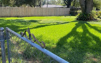 Photo of Tracy F.'s yard after getting lawn care in Shreveport, LA