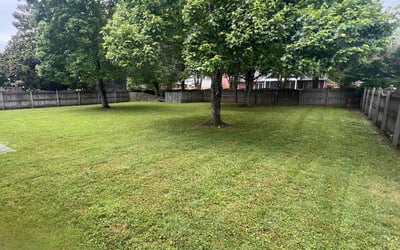 Photo of Parker S.'s yard after getting lawn care in Hazel Green, AL
