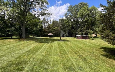 Photo of Tj U.'s yard after getting lawn care in North Royalton, OH